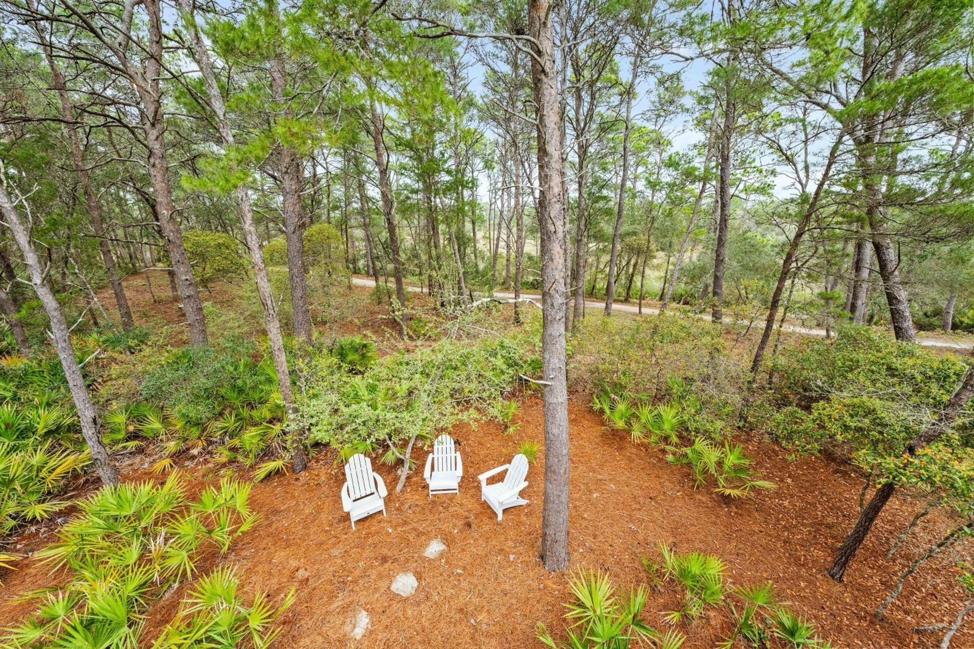 Dandelion Βίλα Santa Rosa Beach Εξωτερικό φωτογραφία